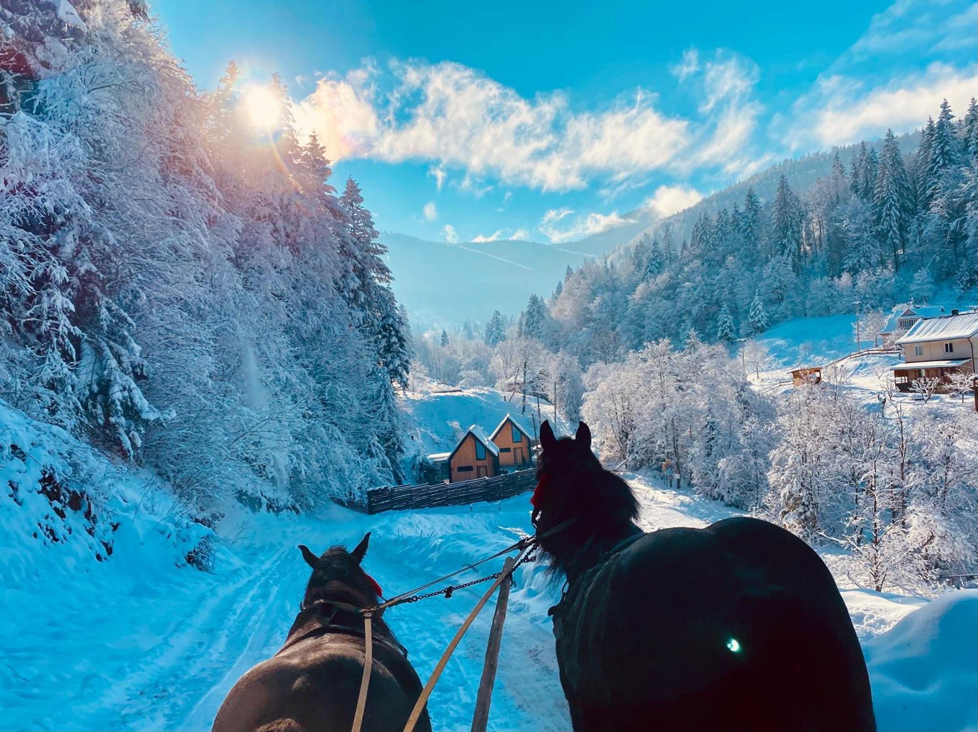 Bagriwood Lodges Jaremtje Exteriör bild