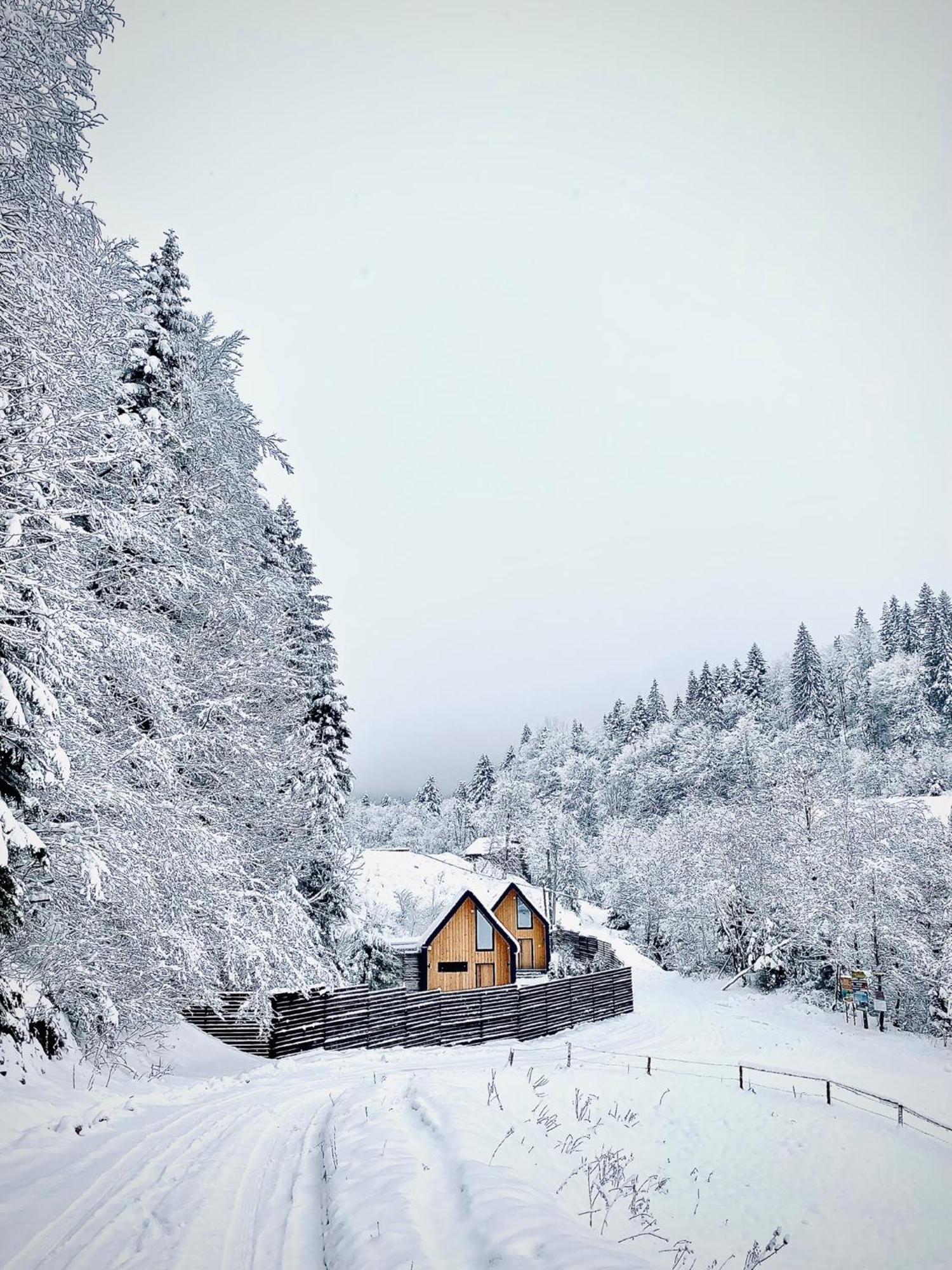 Bagriwood Lodges Jaremtje Exteriör bild