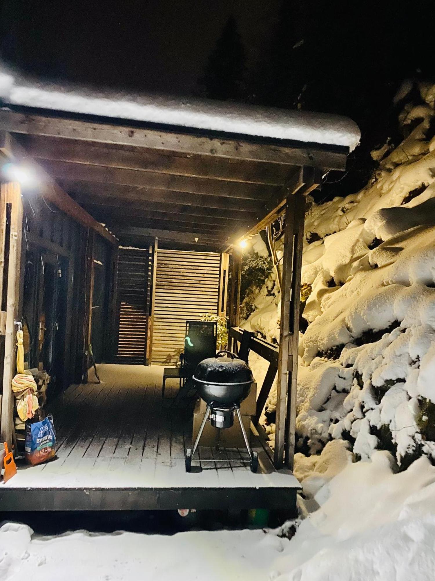 Bagriwood Lodges Jaremtje Exteriör bild